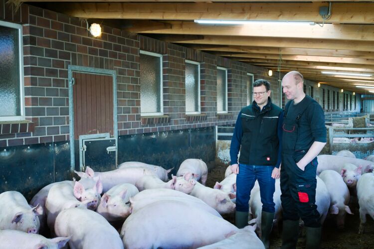 Tierarzt und Landwirt bei der Begutachtung des Schweinebestands